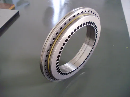 Customized010.30.500 010.45.1250 230.20.0400.013 Rotary Table Crane Slewing Ring Bearing Slewing Bearing 